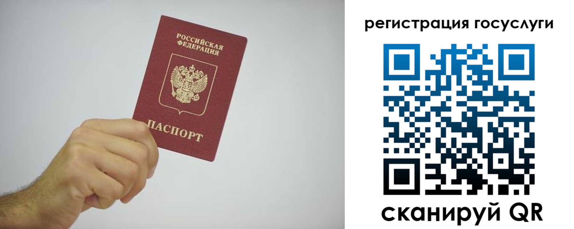 временная регистрация гарантия в Болотном